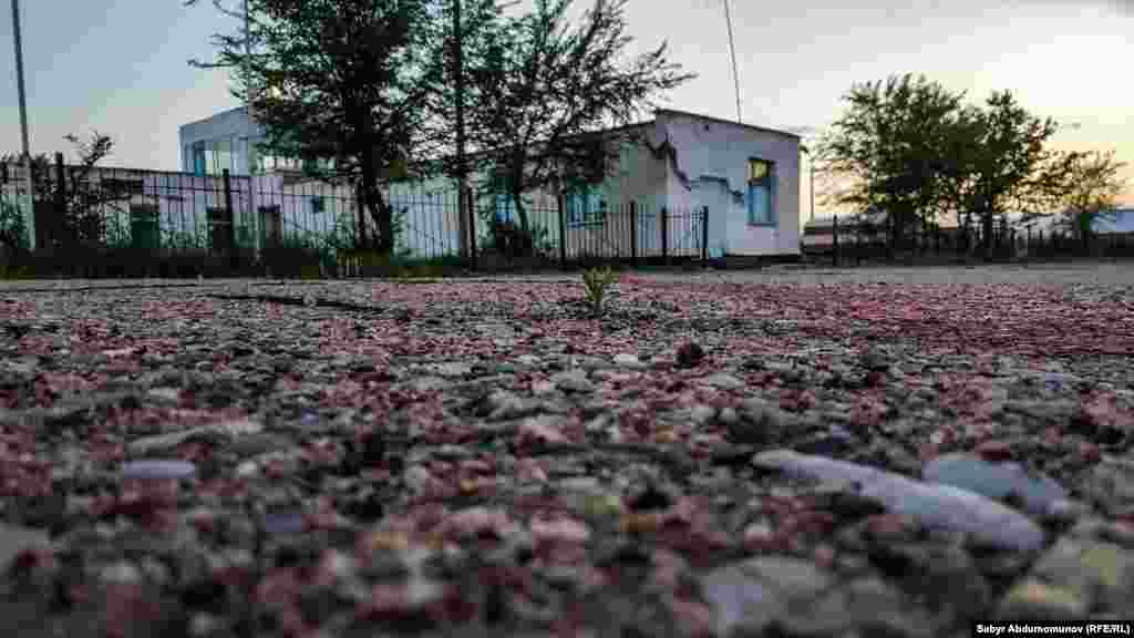 Взлетная полоса аэропорта сохранилась. До конца 1997 года из Казармана в Джалал-Абад и обратно летал 32-местный Як-40 авиакомпании «Кыргызстан аба жолдору». Билет стоил 150 сомов ($2,5)