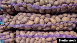 Картопля в мішках для гуртового продажу, фото ілюстративне