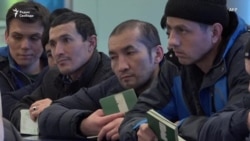 “Амина” присмотрит “Амина” присмотрит