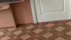 Попытка вброса в Кукморе Попытка вброса в Кукморе