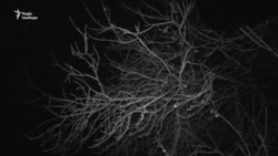 Все почалось по-серйозному – військові на Світлодарській дузі (відео) Все почалось по-серйозному – військові на Світлодарській дузі (відео)