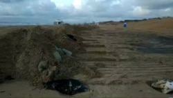 Бульдозеры растащили мешки с мазутом по песку побережья.mp4 Бульдозеры растащили мешки с мазутом по песку побережья.mp4