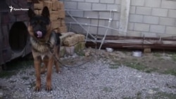 Наш народ все выдержит – фигурант «дела 26 февраля» Дегерменджи (видео) Наш народ все выдержит – фигурант «дела 26 февраля» Дегерменджи (видео)