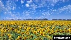 Заборона на продаж землі діяла до 1 січня 2019 року