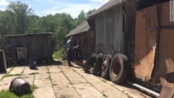 Жертвы свиноводства. Речка с г...ном Жертвы свиноводства. Речка с г...ном