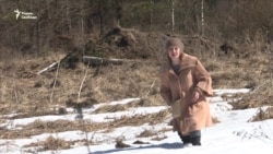 Многодетные семьи поселили на болоте Многодетные семьи поселили на болоте