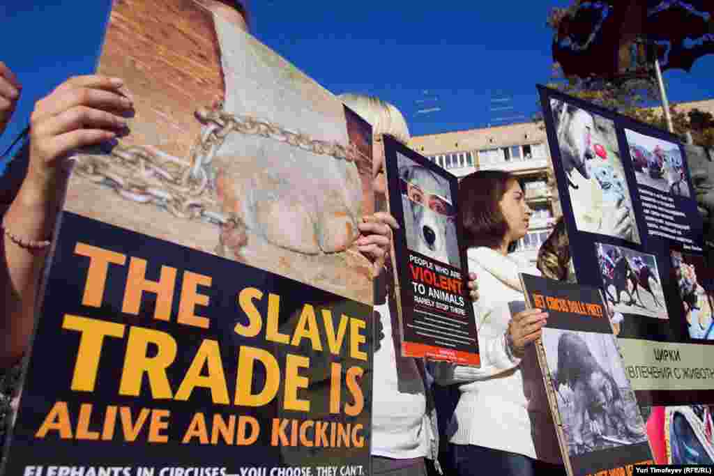 Около 30 человек, сканидирвали "Не водите в цирк детей - в цирке мучают зверей" 