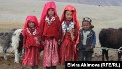 There are thought to be around 1,000 ethnic Kyrgyz living in Afghanistan. (file photo)