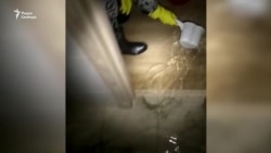 "Воды по щиколотку, залито всё" "Воды по щиколотку, залито всё"