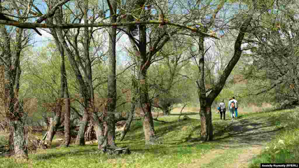 Утомленные затянувшейся самоизоляцией крымчане вышли на природу