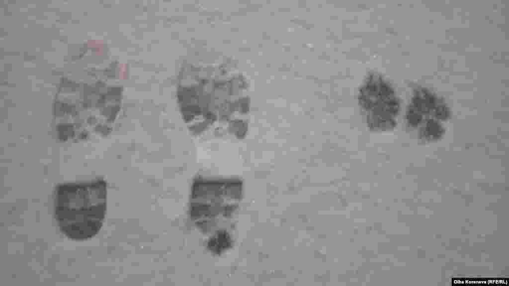 А тим часом у засніжених Сумах кореспондент Радіо Свобода Ольга Коренєва разом із своїм песиком на прізвисько «Косяк» шукають нові цікаві історії