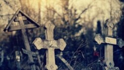 Кладбищенское хозяйство Кладбищенское хозяйство