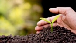 Ваша Свобода | Чи продавати українську землю? Ваша Свобода | Чи продавати українську землю?