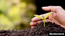 Геоінженерія, на яку покладають чимало надій, може виявитися не такою вдалою ідеєю