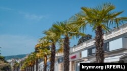 Пальмы на городской набережной Ялты, апрель 2019 года