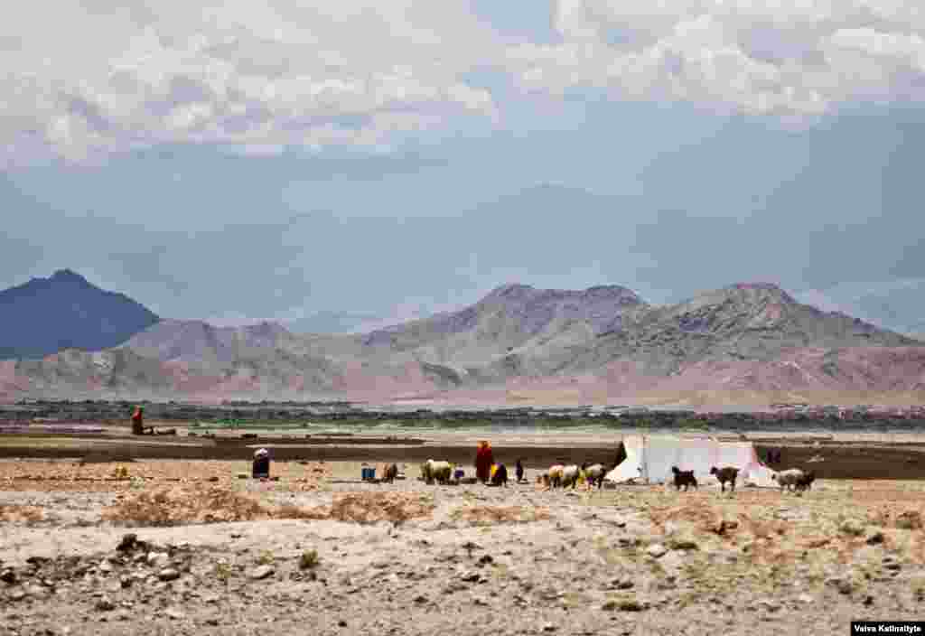 The Kuchis migrated from warmer lowlands in winter to mountain pastures in summer. They played an important part in the economy by producing meat and fabrics used for making carpets. 
