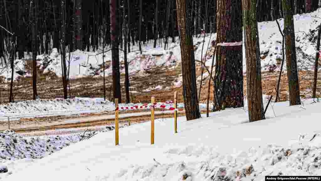 В спорах с местными жителями чиновники заверяли, что на участке, переданном "ТАИФу", произрастает, мол, не лес, а кустарниковая растительность. 