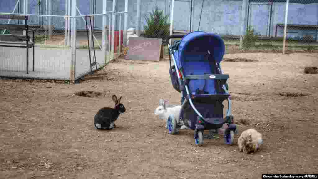 Даже самыми маленькими 