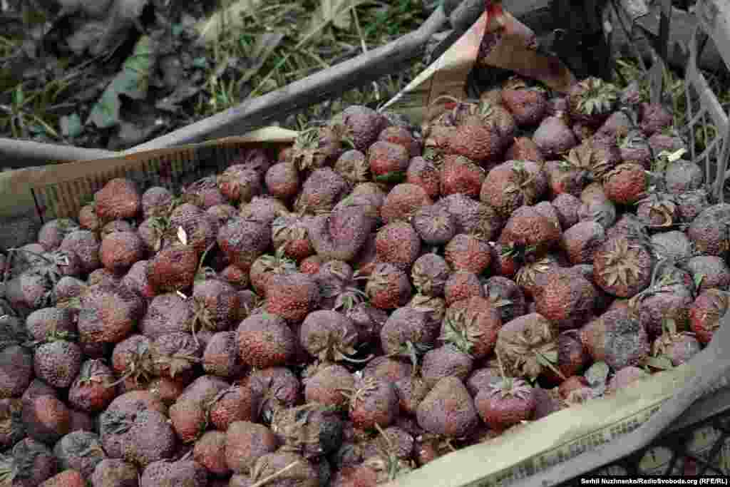 Вкриті пилом полуниці та зелень в одній із пошкоджених квартир після удару російської ракети