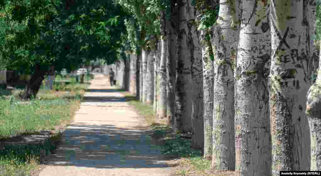 «Именные» тополя на улице Захарова. Жители Красноперекопска уже свыклись с тем, что экологическая обстановка в их родном городе далеко не курортная. И при каждой возможности, особенно в летнюю пору, стараются выехать подальше за город, к морю. Корреспондент Крым.Реалии отправился на север Крыма и запечатлел раскаленные на солнце будни жителей города на фото