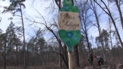 Громадські активісти та Радіо Свобода висадили «Живу алею зірок» під Києвом (відео) Громадські активісти та Радіо Свобода висадили «Живу алею зірок» під Києвом (відео)