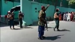 Video Shows Taliban Backing Off From Protesters