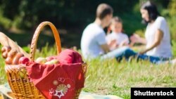 У КМДА закликали киян не відпочивати у міських лісах в умовах карантину (фото ілюстративне)