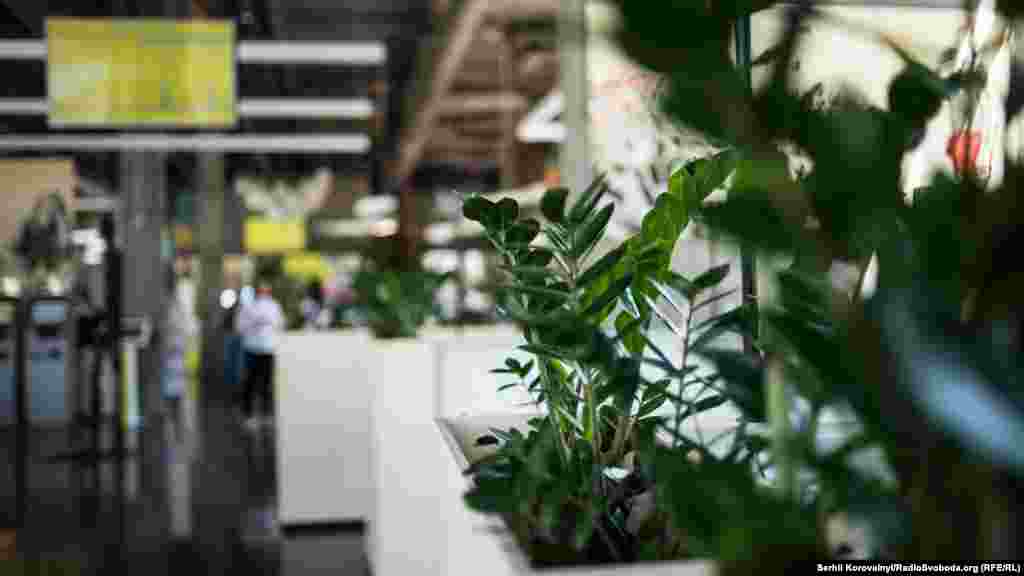 В інтер’єрі використали велику кількість рослин, а масивні вікна та відсутність окремих кабінетів створюють відчуття прозорості та відкритості, кажуть в установі