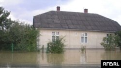 Стрий, Львівська область, 25 липня 2008 року