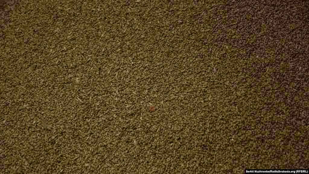 Одна зернина – одне життя