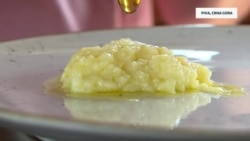 Kad se crnogorska cicvara 'okrene' Kad se crnogorska cicvara 'okrene'