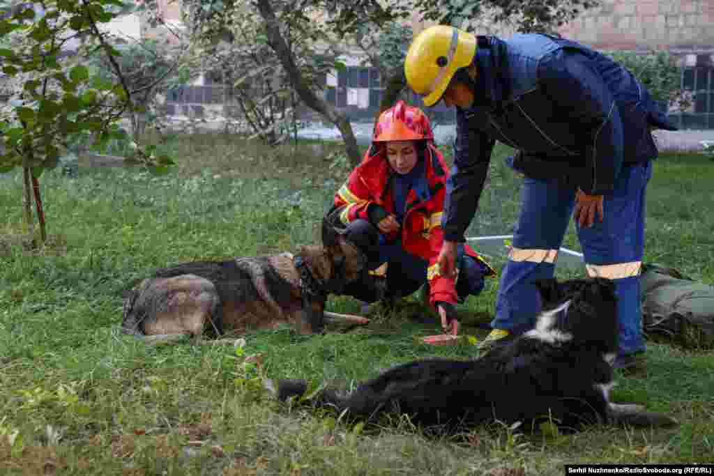 Spasioci tješe kućne ljubimce čiji su vlasnici nestali za vrijeme ruskih udara.