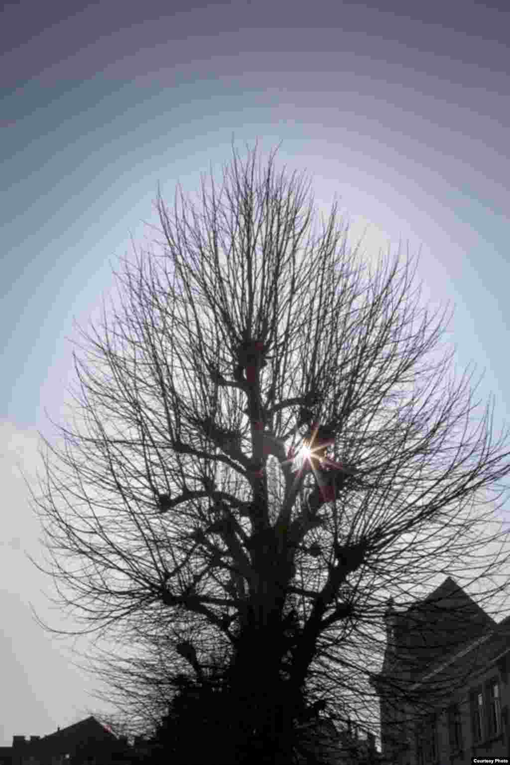 "И открыл Ангел седьмую печать и излил чашу Возмездия Божьего и повел свое воинство Ангелов Апокалипсиса против легионов Зверя и грянула Битва Конца всего сущего на земли и вышли моря из берегов и опали горы и вздыбилась земля от стона сгораемая от огня гнева Ангелов Апокалипсиса…"