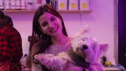 Кафе и рестораны: борьба за выживание Кафе и рестораны: борьба за выживание