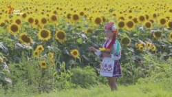 «Україна» чи «край»? – документальний фільм про здобуття Незалежності «Україна» чи «край»? – документальний фільм про здобуття Незалежності