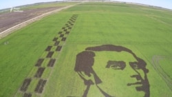 На Херсонщині з рису виростили портрет Шевченка (відео) На Херсонщині з рису виростили портрет Шевченка (відео)