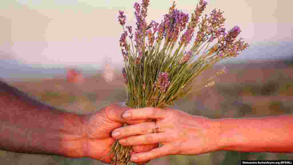 Лаванда применяются в лечебных целях и является ароматизатором – если несколько веточек положить в шкаф с одеждой, то она впитает в себя запах