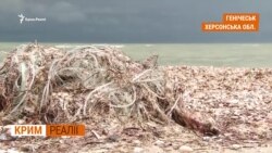 Кримський рибний промисел під російським прапором Кримський рибний промисел під російським прапором