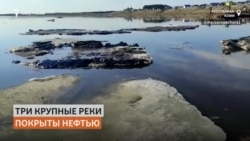 Экологическая катастрофа: нефтеразлив в Коми Экологическая катастрофа: нефтеразлив в Коми