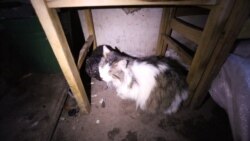 Підвал будинку на «нулі» під Широкино Підвал будинку на «нулі» під Широкино