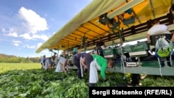 Чеські фермери просили українців лишитися в країні, коли ввели надзвичайний стан