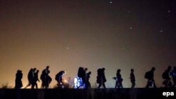 Группа мигрантов направляется из Сербии в Венгрию, 13 сентября 2015
