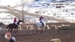 د فبرورۍ ۱۰مې ویډیويي خبرونه د فبرورۍ ۱۰مې ویډیويي خبرونه