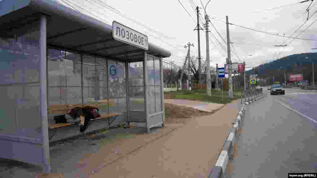 «Тихий час» на автобусной остановке