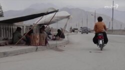 د کوټې ډولچیانو بې وزله ژوند د کوټې ډولچیانو بې وزله ژوند