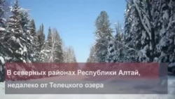 Кто такие тубалары и почему их признали иноагентами Кто такие тубалары и почему их признали иноагентами
