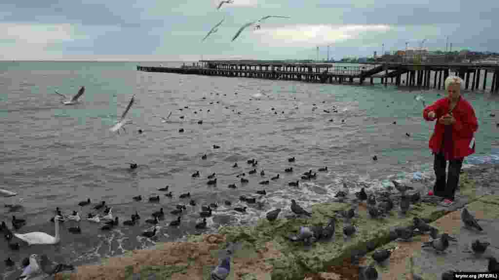 Птицы – набережную Терешковой