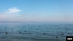 Спасательные круги, которые использовали мигранты, чья лодка затонула у Лесбоса в октябре