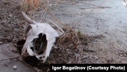 Борский район Самарской области