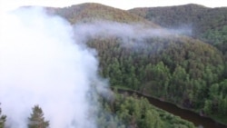 Тайга горит Тайга горит